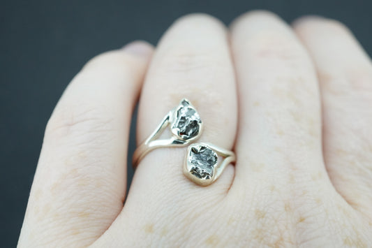 Meteorite Sterling Silver Two Stone Ring
