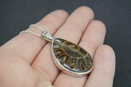 Ammonite Sterling Silver Drop Pendant