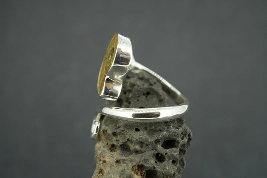 Ammonite Sterling Silver Trinity Ring