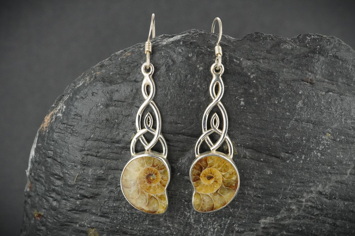 Ammonite Sterling Silver Celtic Drop Earrings image 0