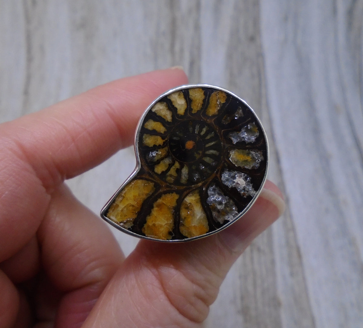 Rare Haematite Ammonite Sterling Silver Ring image 4