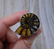 Rare Haematite Ammonite Sterling Silver Ring image 4