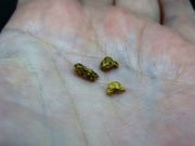 Scottish Highlands Gold Large 'Picker' Nuggets, 2015 - 0.7g image 5
