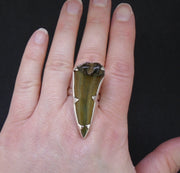 Fossilised Shark Tooth Sterling Silver Ring image 5