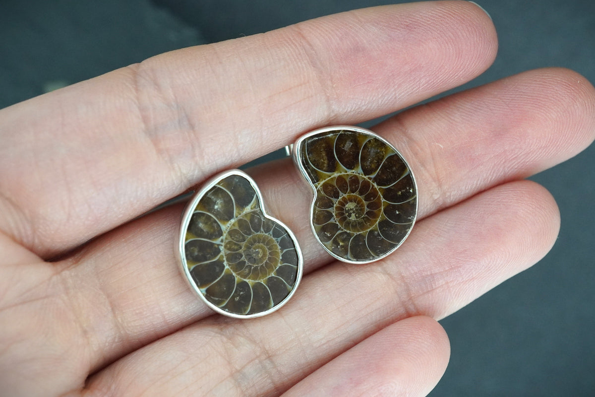 Ammonite Sterling Silver Drop Earrings image 1