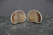 Ammonite Sterling Silver Cufflinks image 3