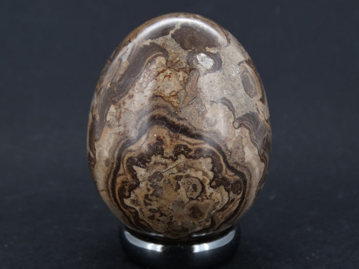 Ancient Scottish Stromatolite Egg image 0