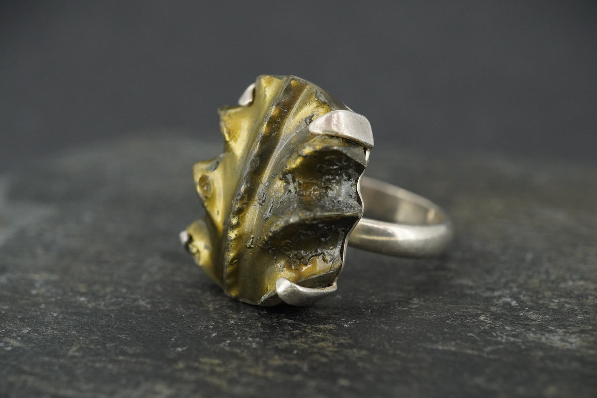 Pyrite Ammonite Sterling Silver Ring image 0