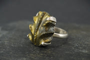 Pyrite Ammonite Sterling Silver Ring image 0