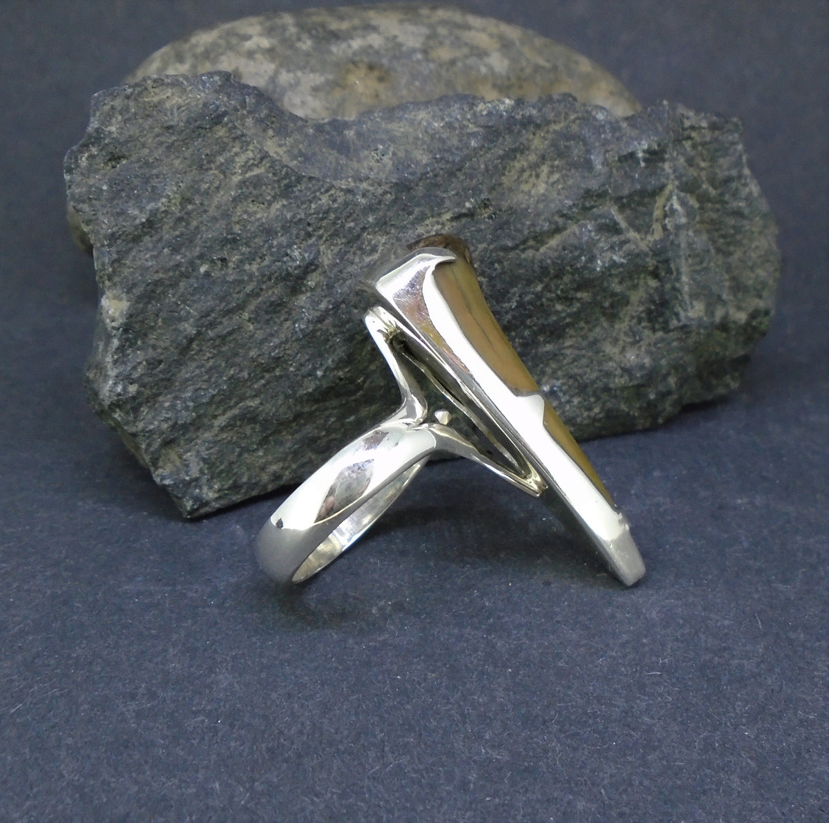 Fossilised Shark Tooth Sterling Silver Ring image 4