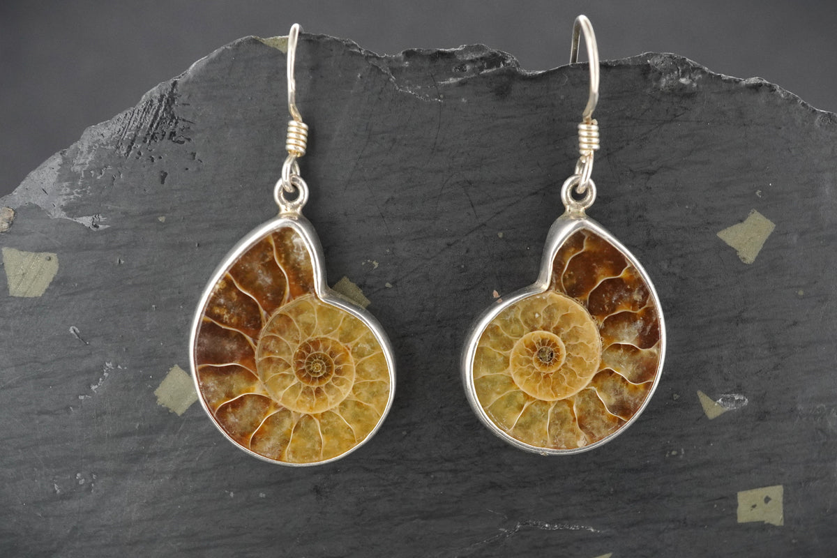 Ammonite Sterling Silver Drop Earrings image 0