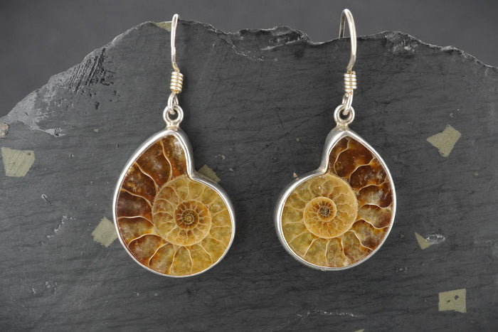 Ammonite Sterling Silver Drop Earrings image 0