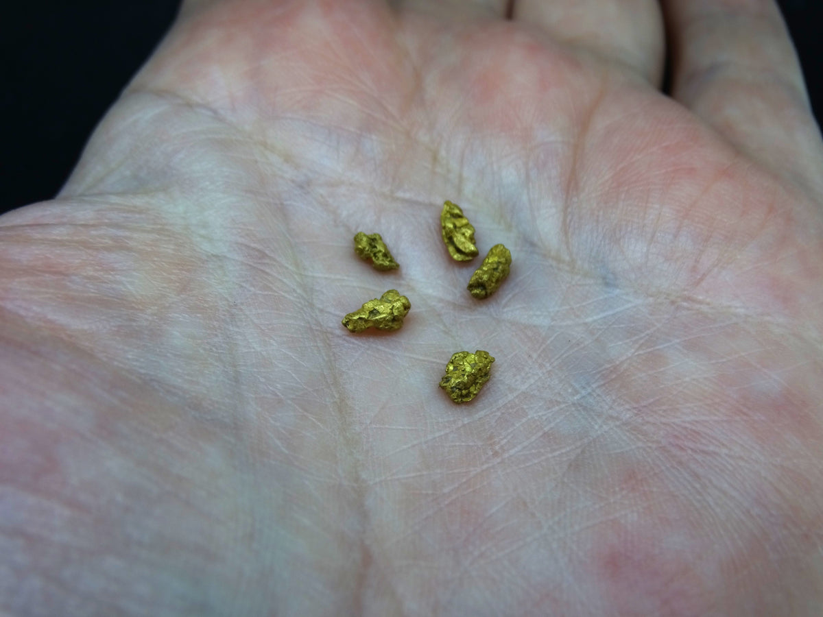 Scottish Highlands Gold Large 'Picker' Nuggets, 2015 - 0.980g image 4