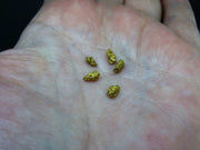 Scottish Highlands Gold Large 'Picker' Nuggets, 2015 - 0.980g image 4