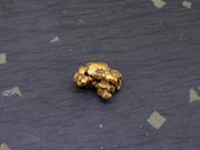 Highlands Scottish Gold Nugget, 2019  -2.338 image 4