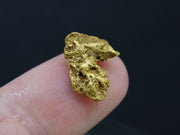 Leadhills Gold Nugget, 2022 - 2.151g image 7