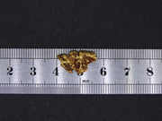Highlands Scottish Gold Nugget, 2014  -2.033 image 8