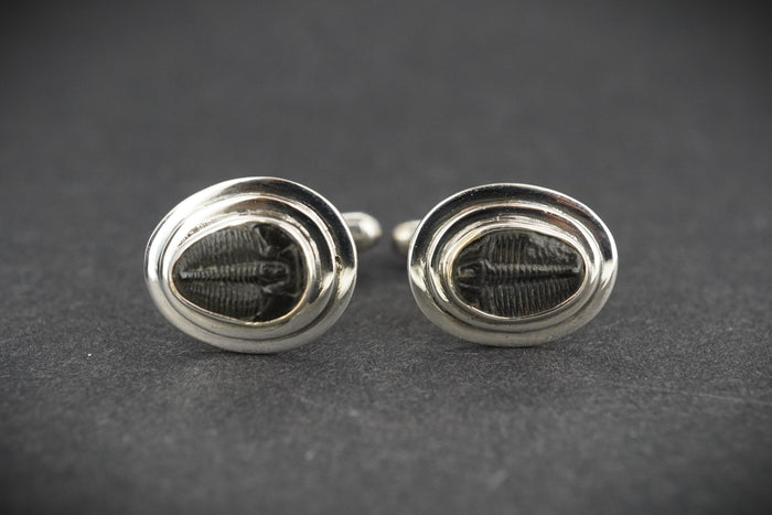 Trilobite Sterling Silver Cufflinks 10x7mm image 0
