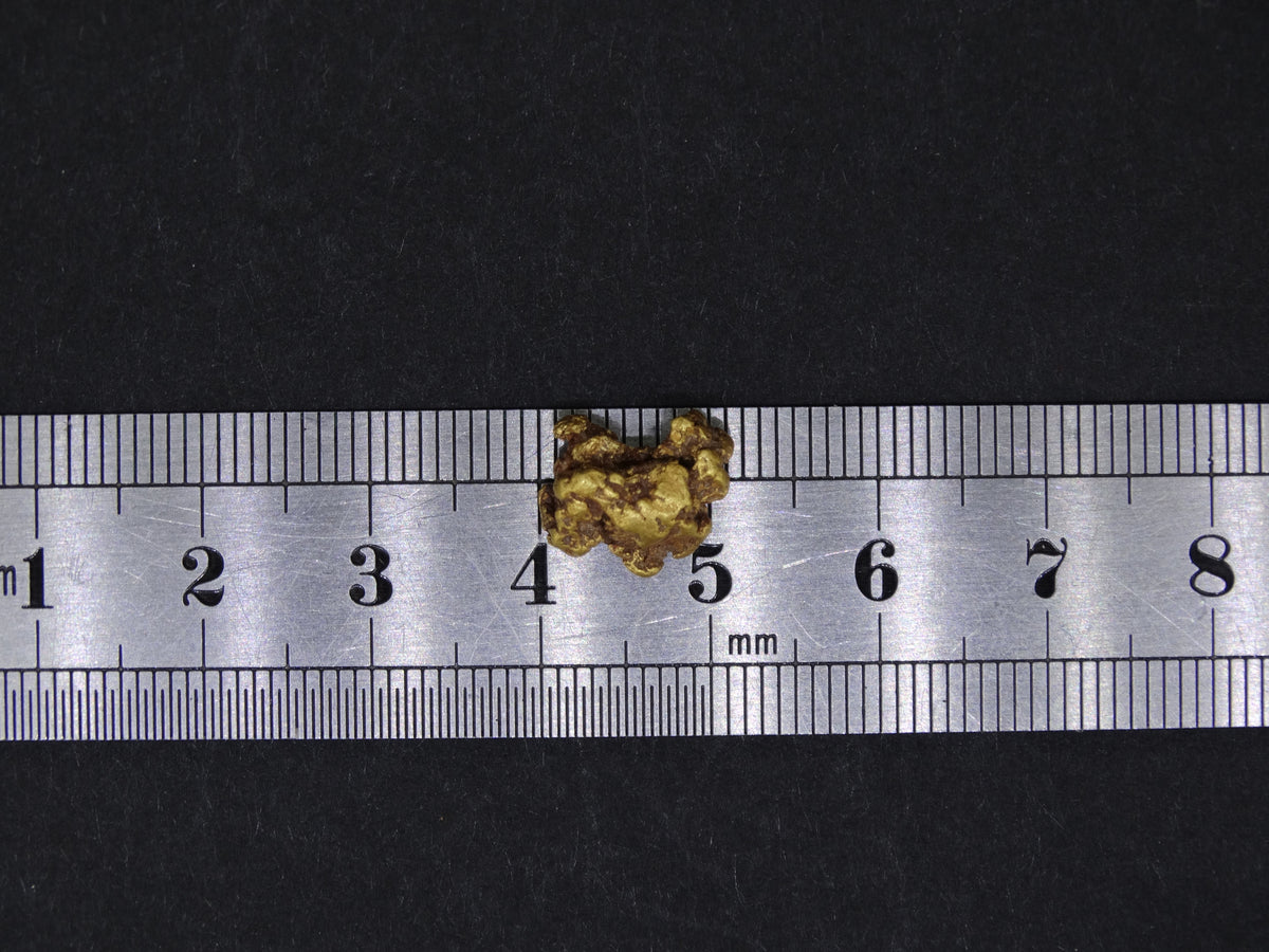 Highlands Scottish Gold Nugget, 2019  -2.338 image 7