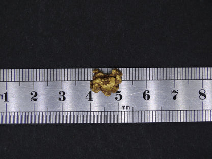 Highlands Scottish Gold Nugget, 2019  -2.338 image 7