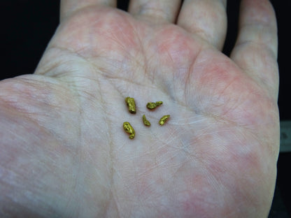 Scottish Highlands Gold 'Picker' Nuggets, 2015 - 0.435g image 5