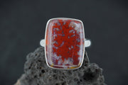 Burn Anne Agate Sterling Silver Ring image 0