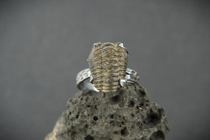 Trilobite Hammered Sterling Silver Adjustable Ring image 0
