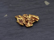 Highlands Scottish Gold Nugget, 2014  -2.033 image 3