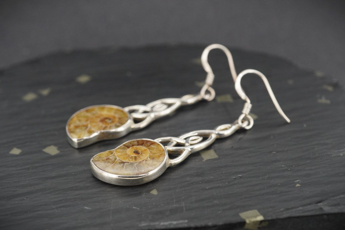 Ammonite Sterling Silver Celtic Drop Earrings image 2