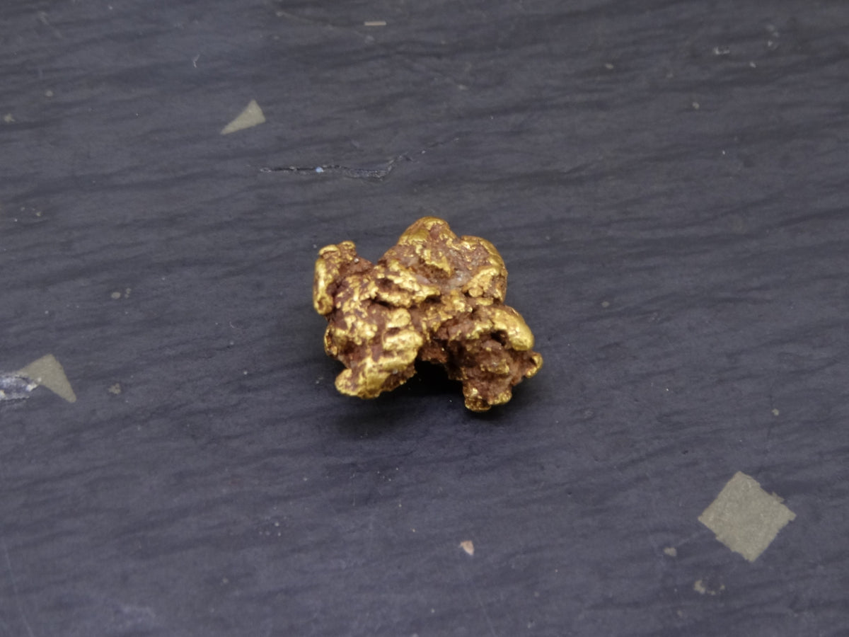 Highlands Scottish Gold Nugget, 2019  -2.338 image 3