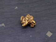 Highlands Scottish Gold Nugget, 2019  -2.338 image 3