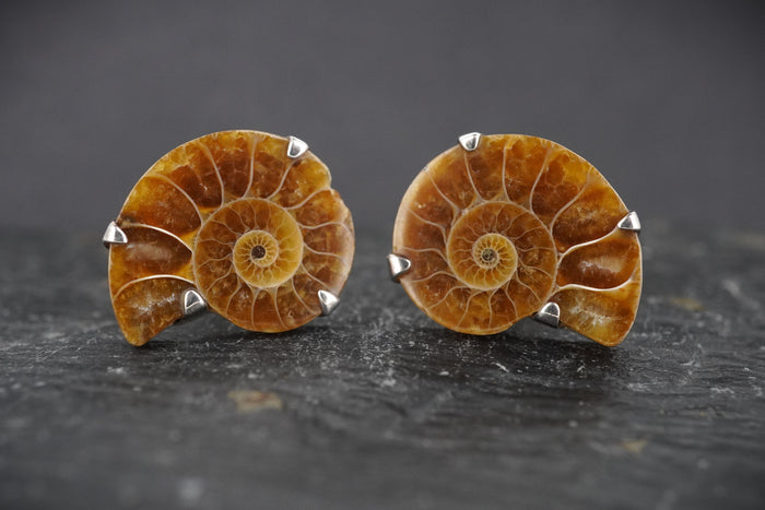 Ammonite Sterling Silver Cufflinks image 0