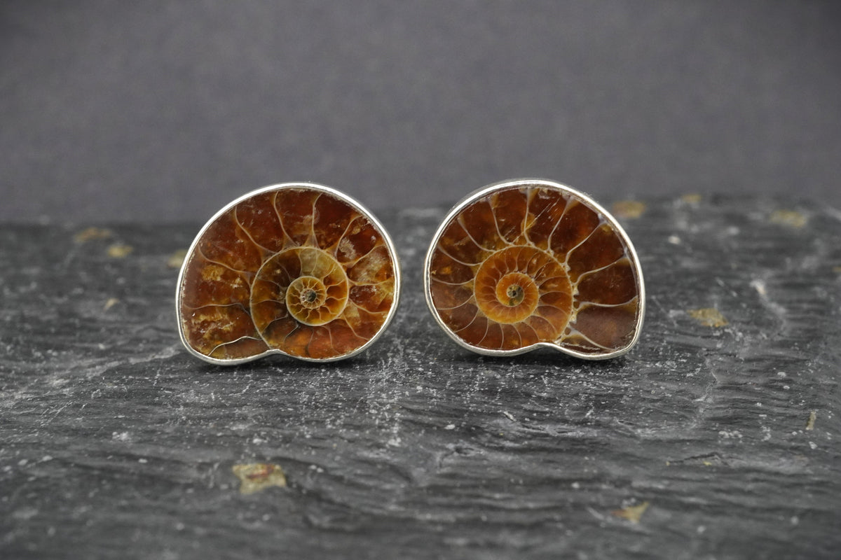 Ammonite Sterling Silver Cufflinks image 0