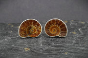 Ammonite Sterling Silver Cufflinks image 0
