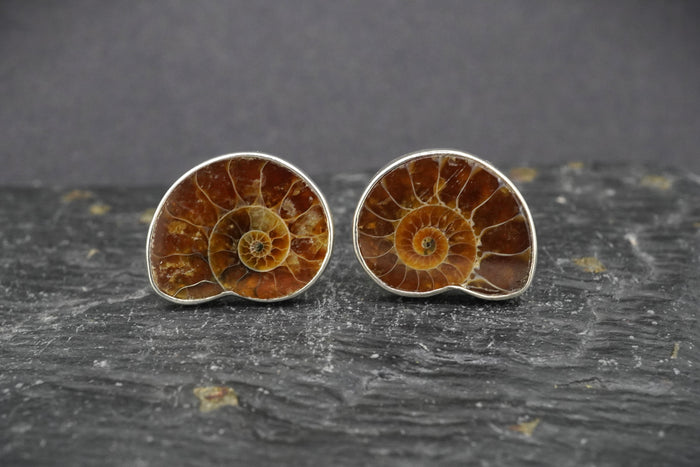 Ammonite Sterling Silver Cufflinks image 0