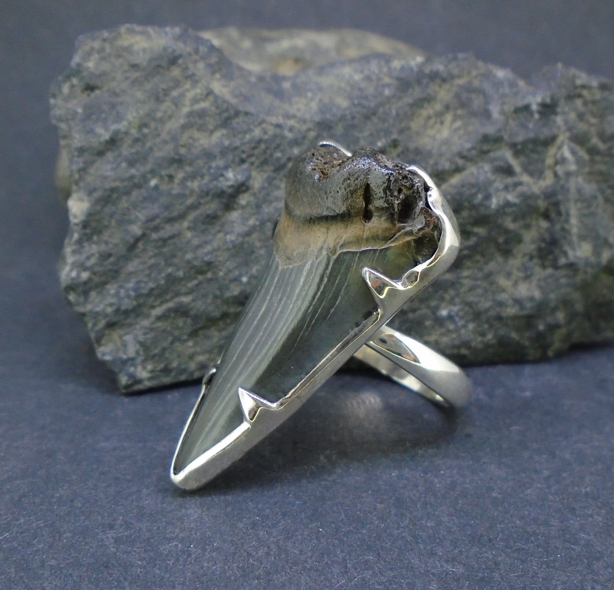 Fossilised Shark Tooth Sterling Silver Ring image 2