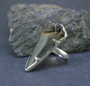 Fossilised Shark Tooth Sterling Silver Ring image 2