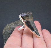 Fossilised Shark Tooth Sterling Silver Ring image 3