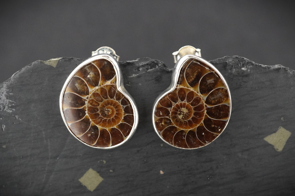 Ammonite Sterling Silver Drop Earrings image 0