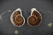 Ammonite Sterling Silver Drop Earrings image 0