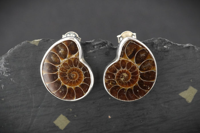 Ammonite Sterling Silver Drop Earrings image 0
