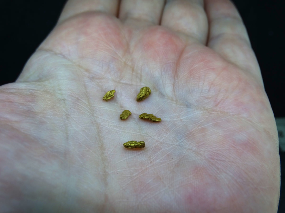 Scottish Highlands Gold 'Picker' Nuggets, 2015 - 0.459g image 3