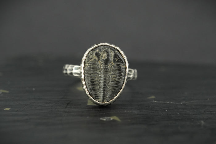 Trilobite Hammered Sterling Silver Adjustable Ring image 0