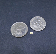 Gold Nugget Gift Pack (S) image 2