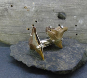 Fossilised Shark Tooth Sterling Silver Cufflinks image 2