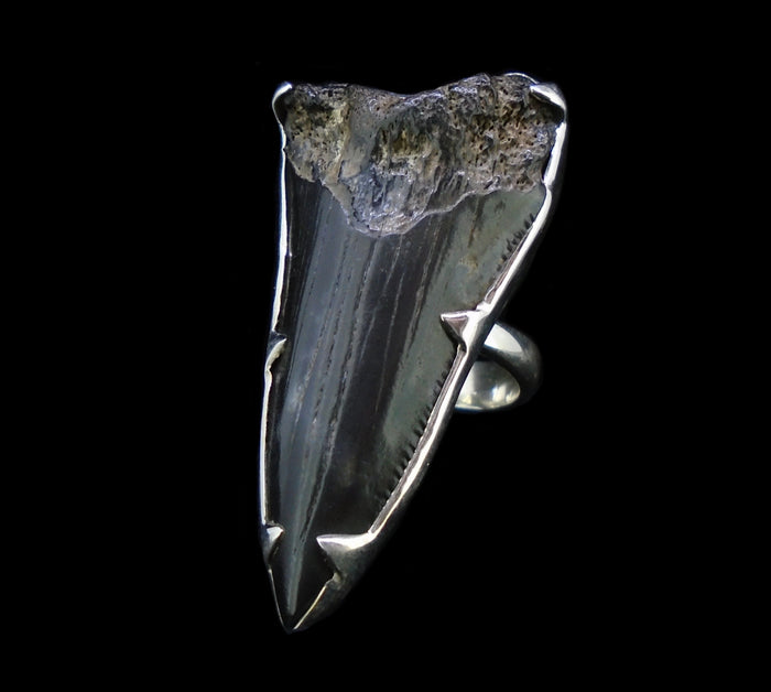 Fossilised Shark Tooth Sterling Silver Ring image 0