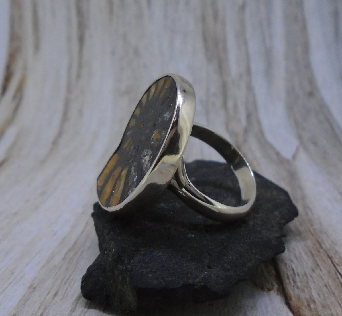 Rare Haematite Ammonite Sterling Silver Ring image 3
