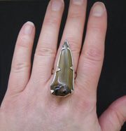 Fossilised Shark Tooth Sterling Silver Ring image 1