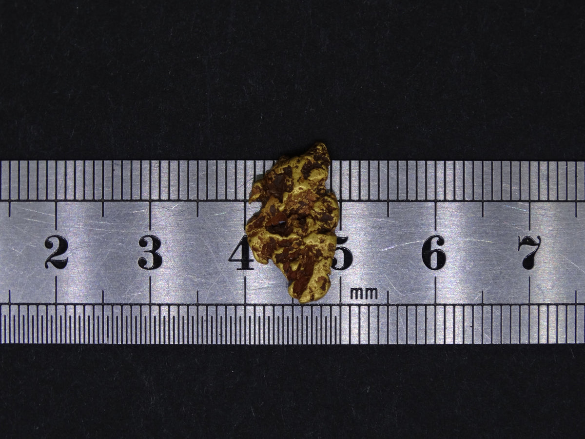 Highlands Scottish Gold Nugget, 2014  -2.033 image 7
