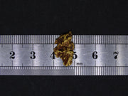 Highlands Scottish Gold Nugget, 2014  -2.033 image 7